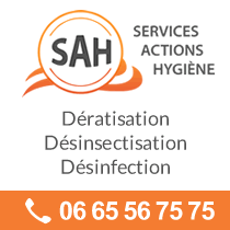 Dératisation IVRY SUR SEINE - 94200 - Services Actions Hygiène